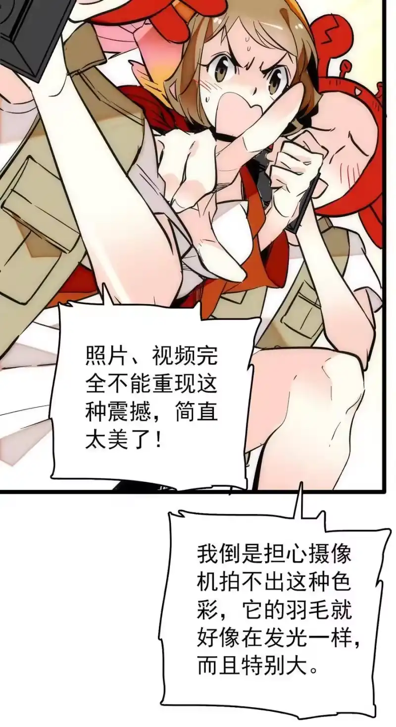 我开动物园那些年_h 016 采访（2） 第21页
