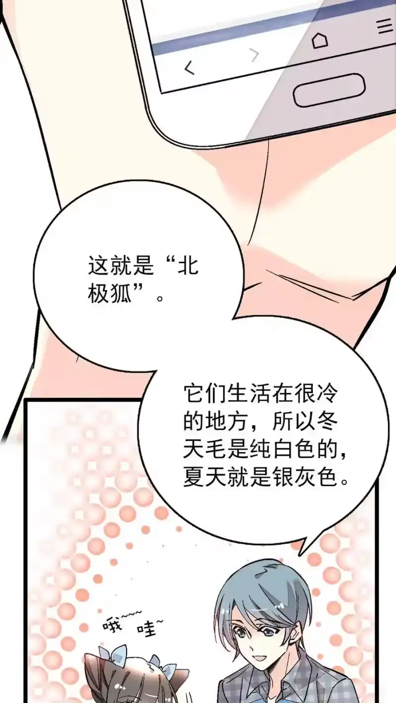 我开动物园那些年_h 020 登录北极狐 第19页