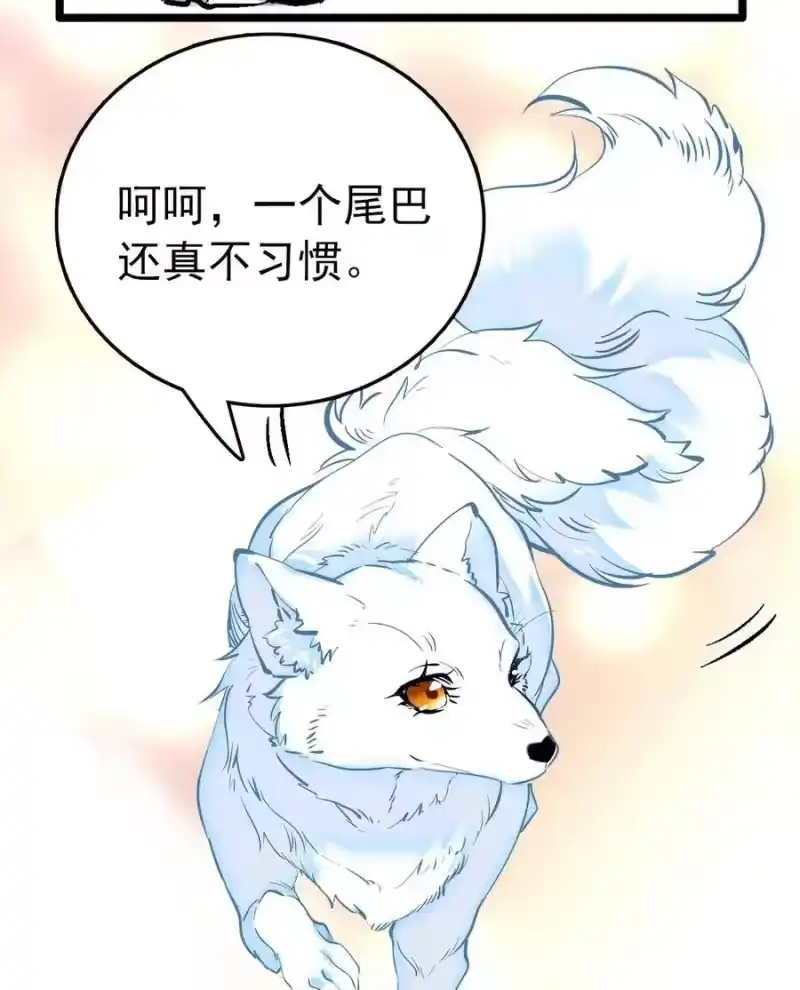 我开动物园那些年_h 020 登录北极狐 第28页