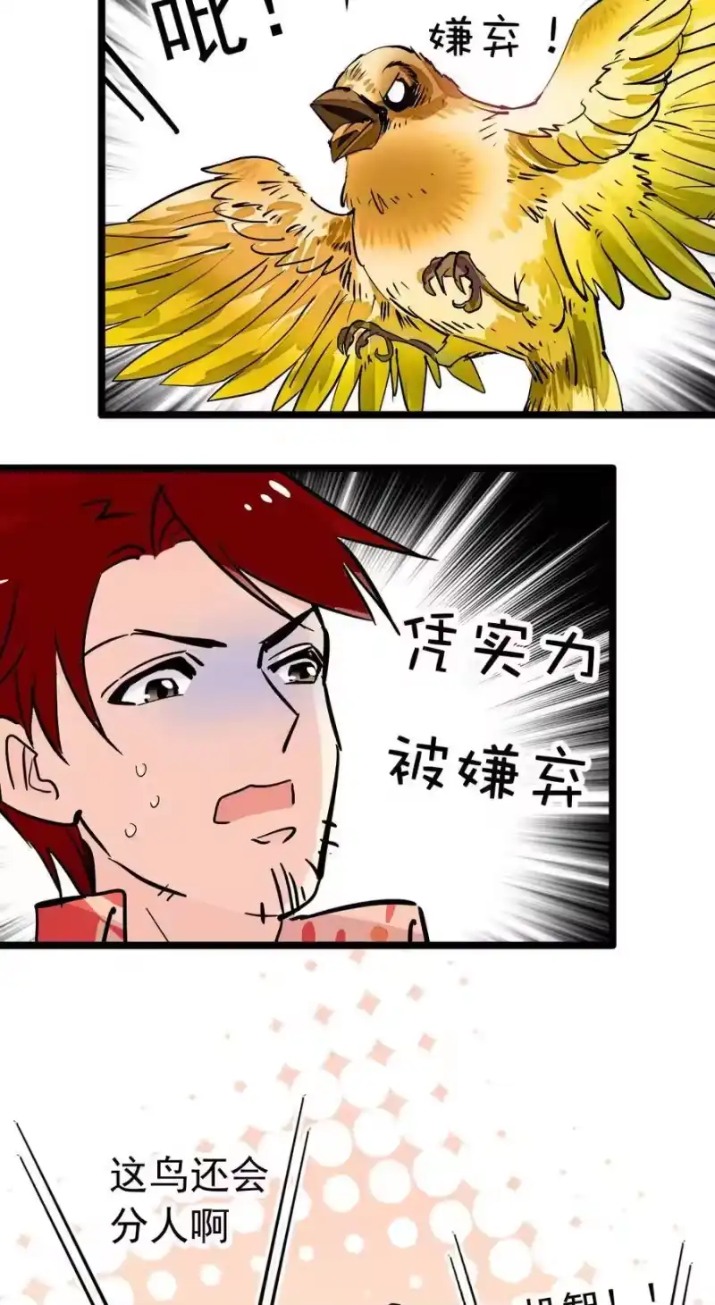 我开动物园那些年_h 024 我们开张啦 第23页