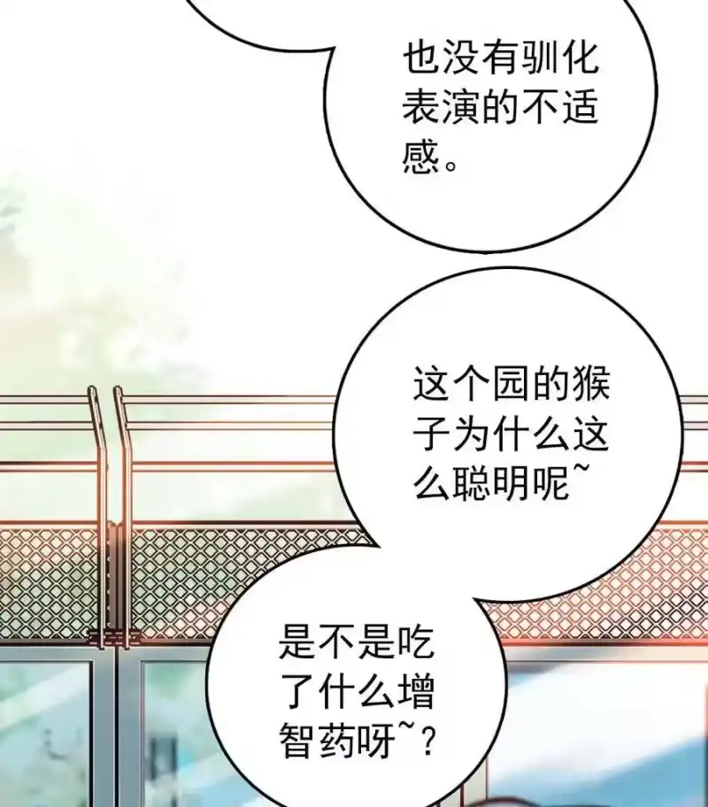 我开动物园那些年_h 025 夺食麻雀比心猴 第25页