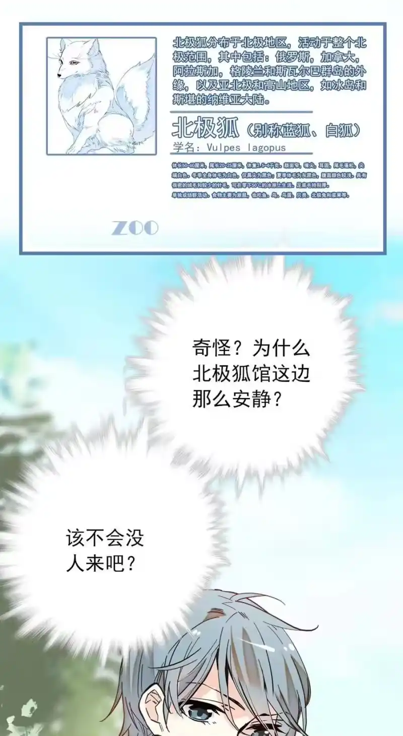 我开动物园那些年_h 026 白狐大仙，福至心灵 第17页