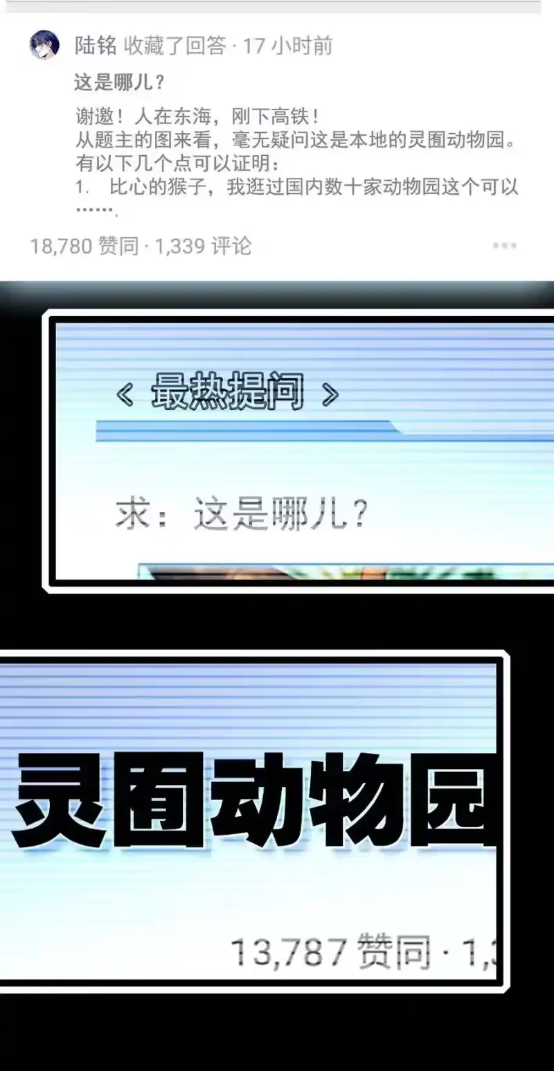 我开动物园那些年_h 027 开张大吉，完美收官 第21页