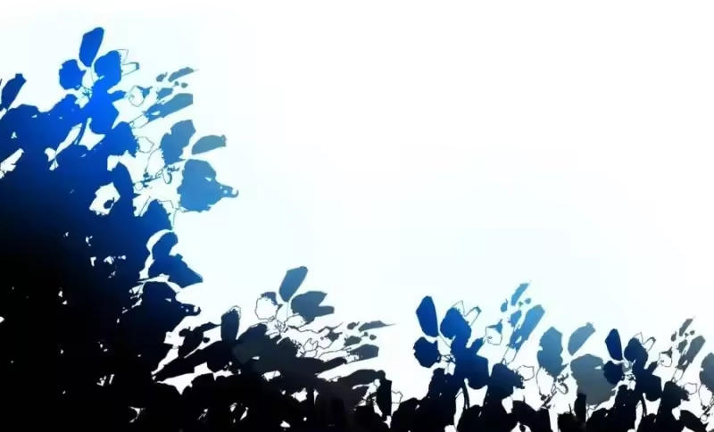 我开动物园那些年_h 002 进入动物园，欺负狮子 第38页