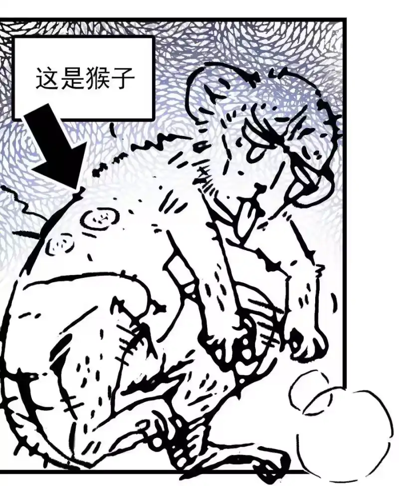 我开动物园那些年_h 002 进入动物园，欺负狮子 第57页