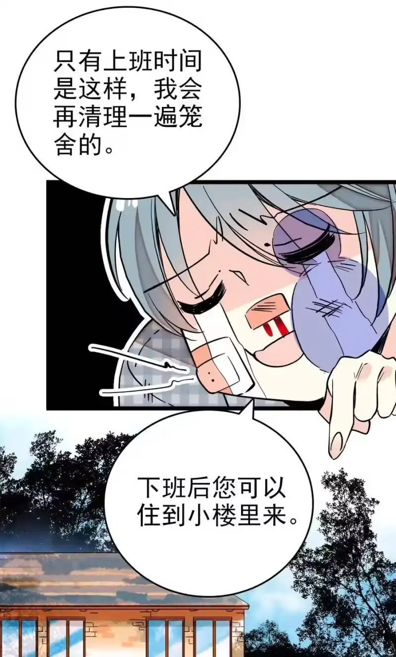 我开动物园那些年_h 002 进入动物园，欺负狮子 第71页
