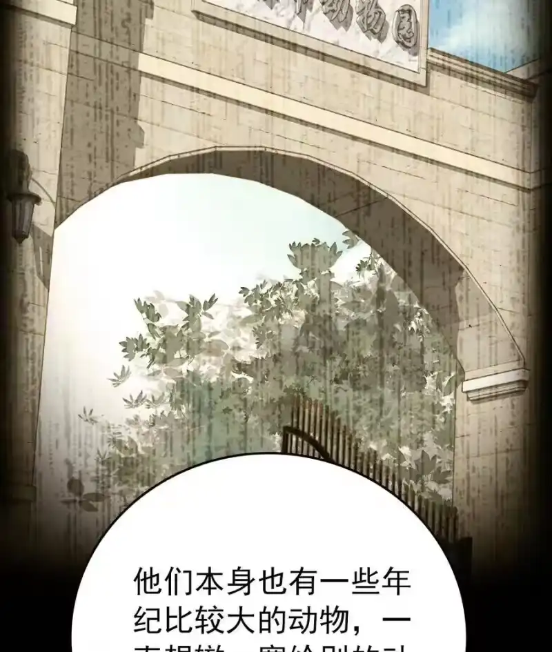 我开动物园那些年_h 033 抱局长大腿 第24页