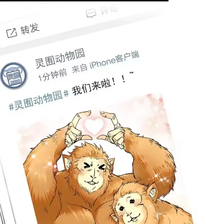 我开动物园那些年_h 034 狮子欢欢 第15页