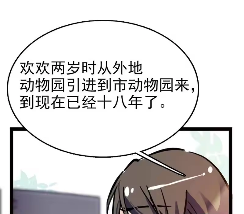 我开动物园那些年_h 034 狮子欢欢 第42页