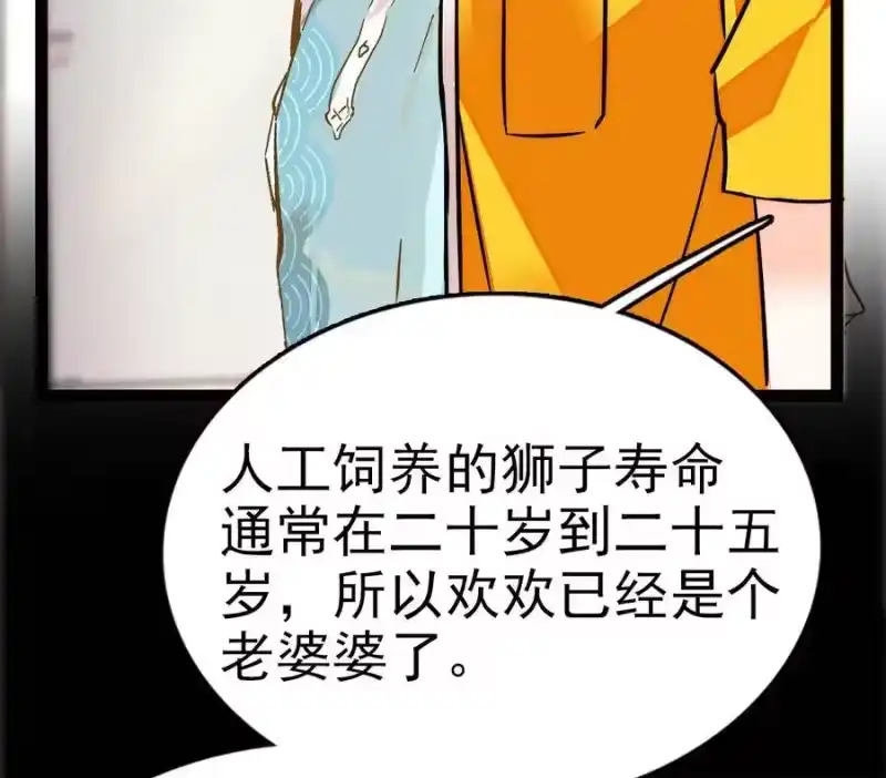 我开动物园那些年_h 034 狮子欢欢 第44页