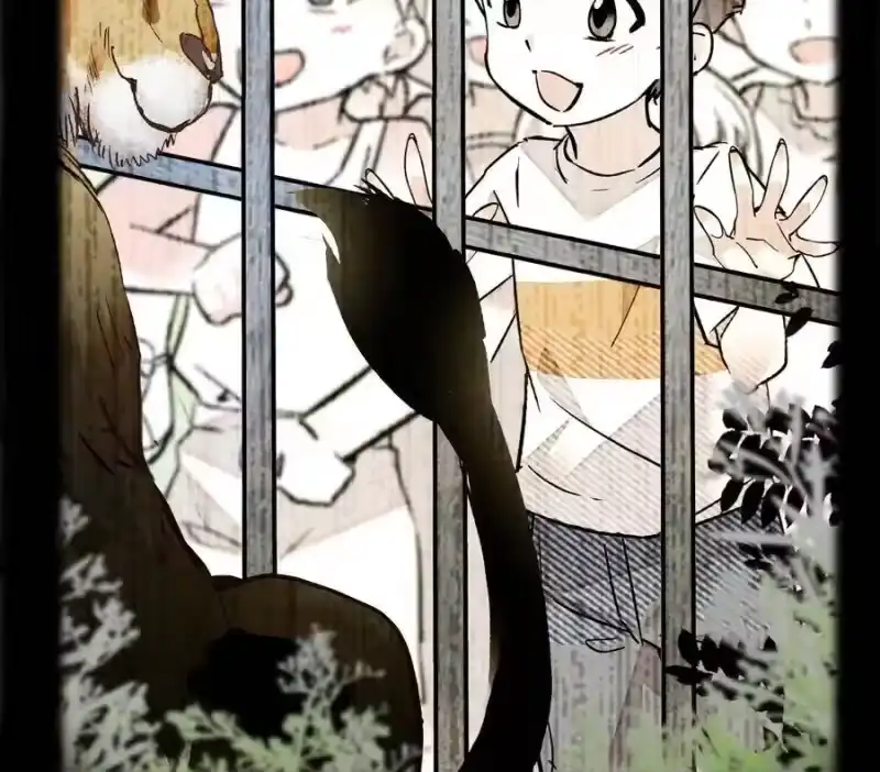 我开动物园那些年_h 034 狮子欢欢 第46页