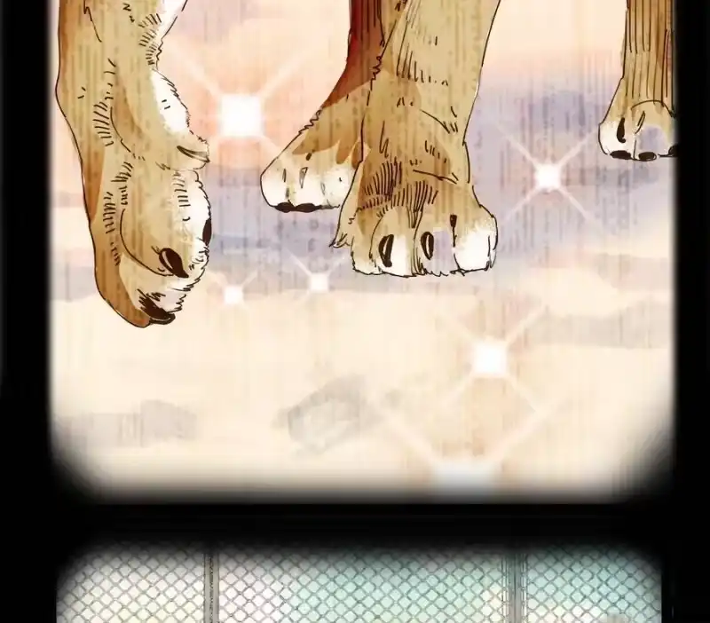 我开动物园那些年_h 034 狮子欢欢 第49页