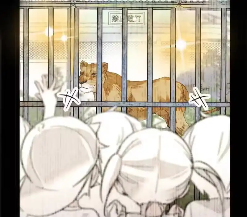 我开动物园那些年_h 034 狮子欢欢 第50页