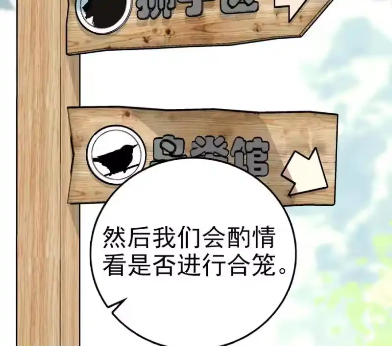 我开动物园那些年_h 034 狮子欢欢 第59页