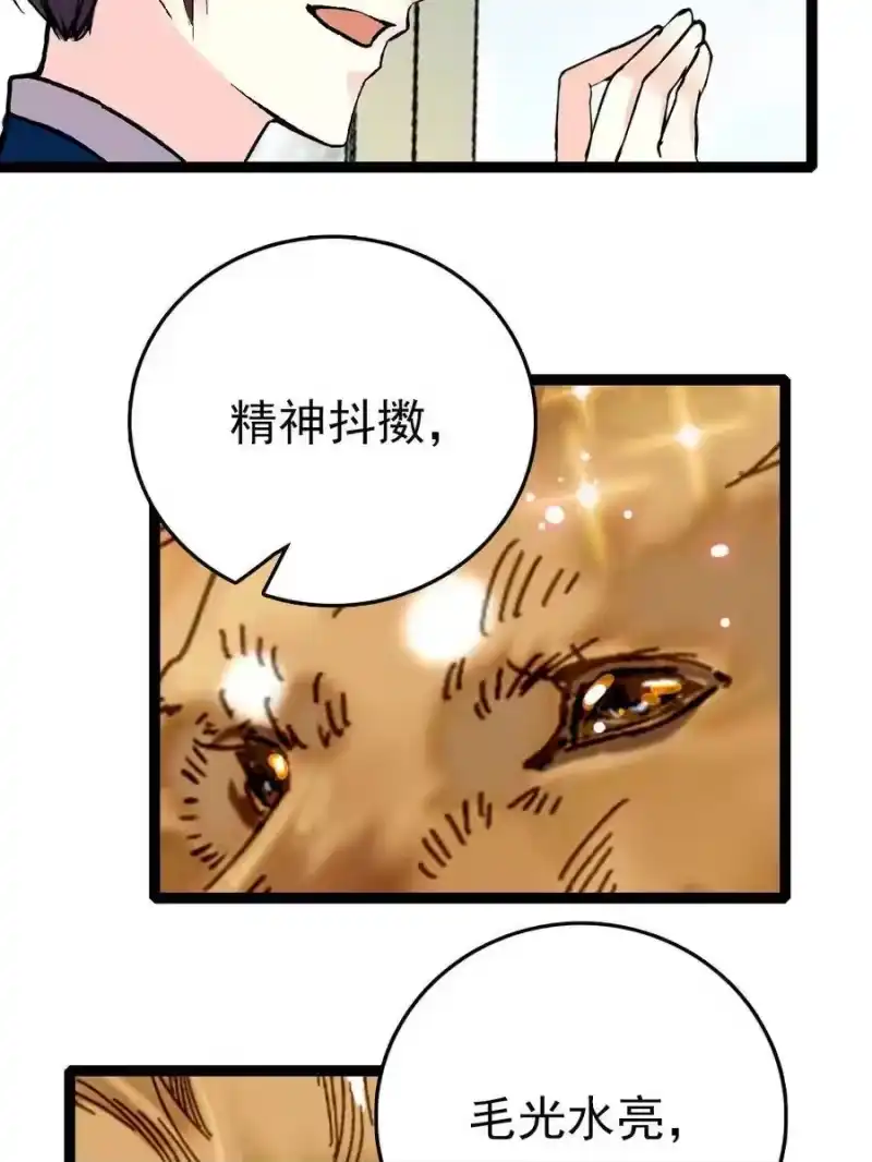 我开动物园那些年_h 035 名为乐乐 第11页