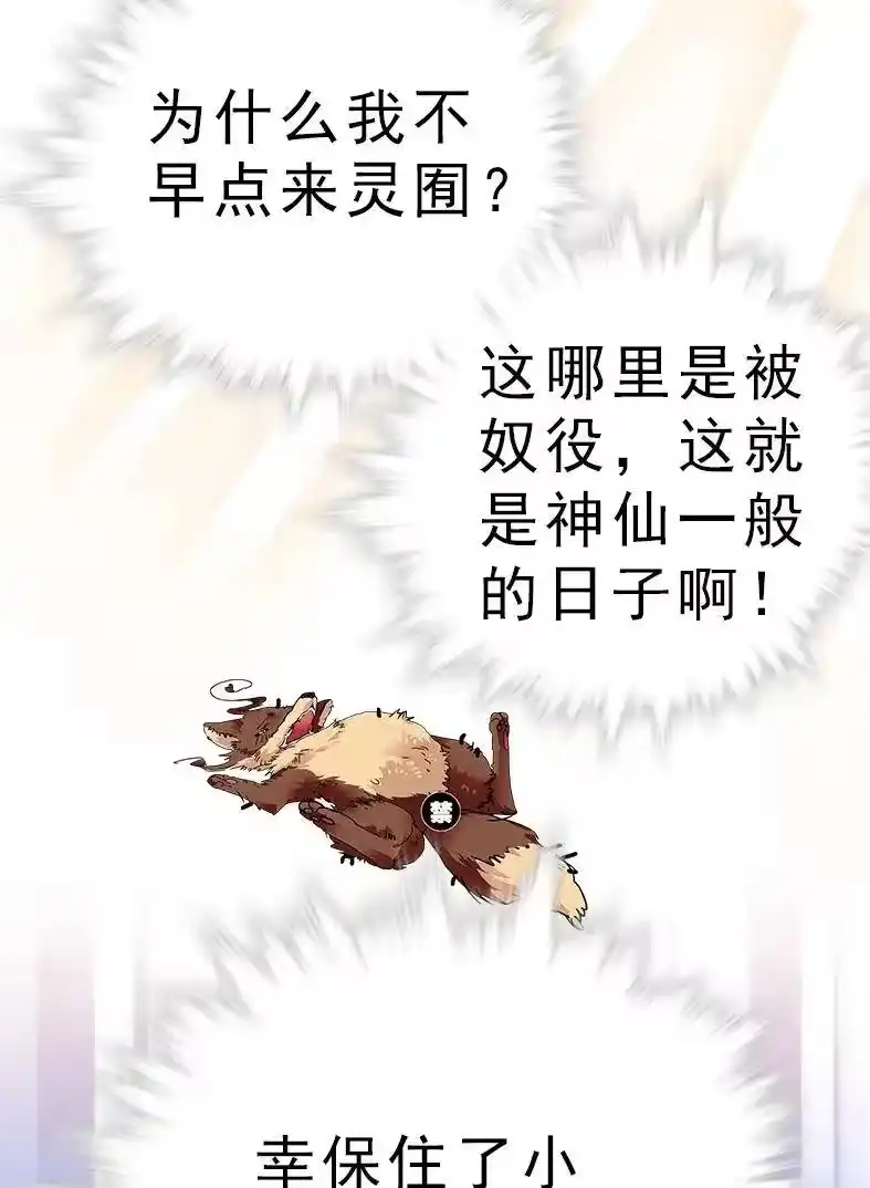 我开动物园那些年_h 044 支线任务 第10页