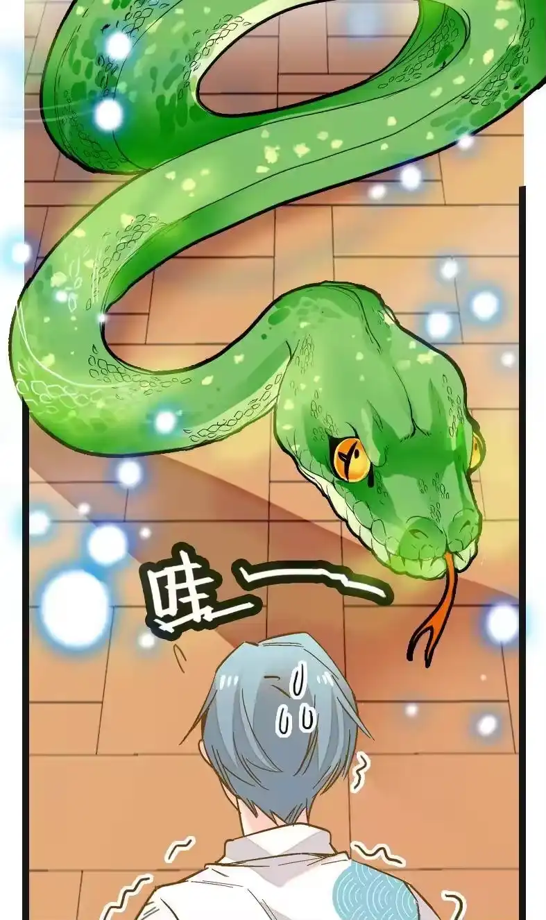 我开动物园那些年_h 050 灵蛇化形 第14页
