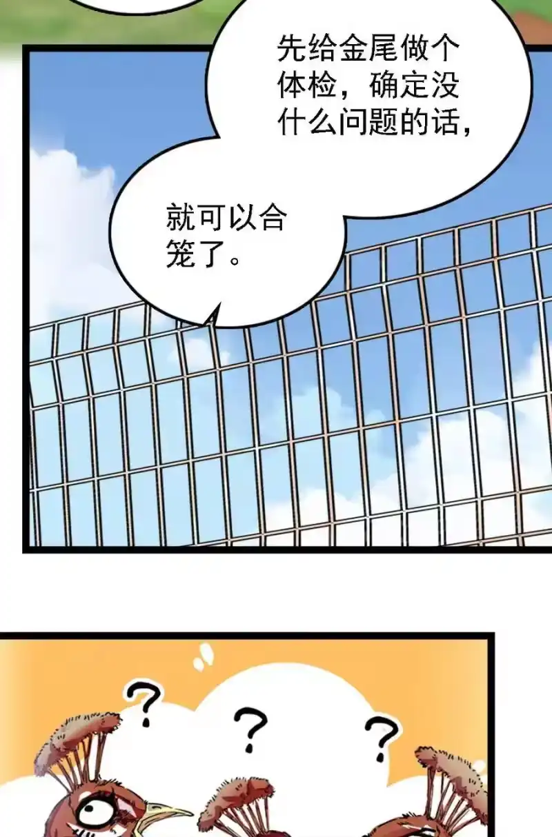 我开动物园那些年_h 051 孔雀霸王 第11页