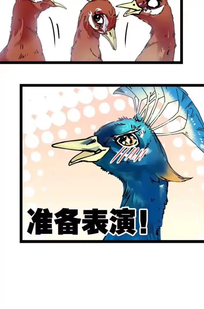 我开动物园那些年_h 051 孔雀霸王 第12页
