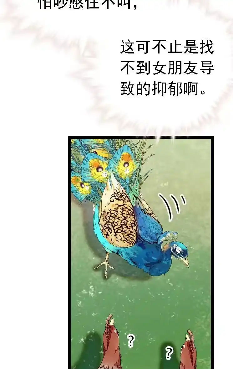 我开动物园那些年_h 051 孔雀霸王 第16页
