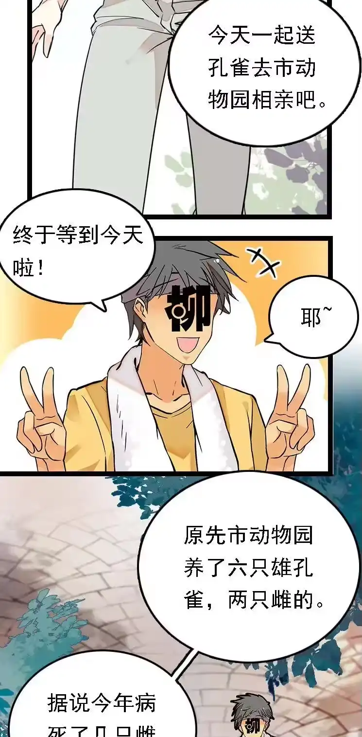 我开动物园那些年_h 051 孔雀霸王 第2页