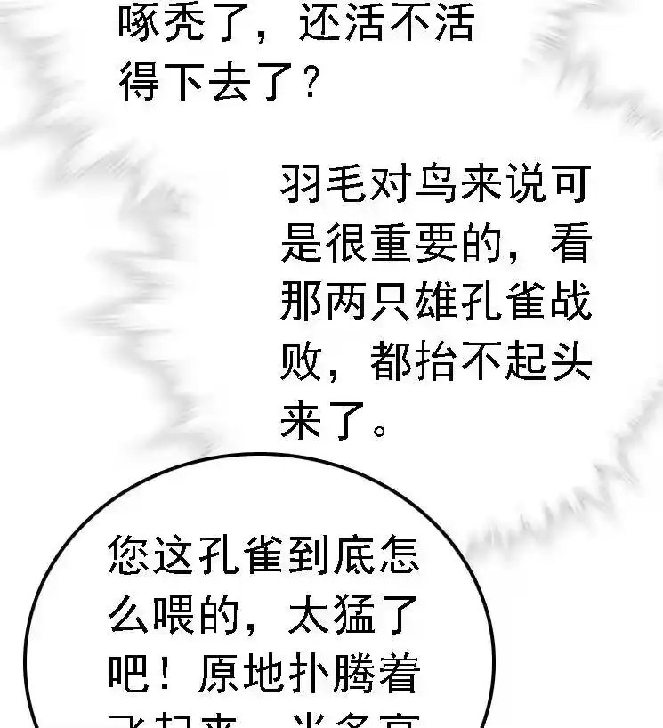 我开动物园那些年_h 051 孔雀霸王 第27页