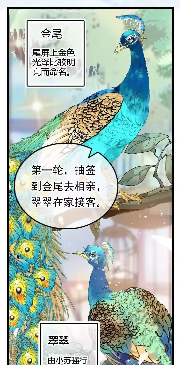 我开动物园那些年_h 051 孔雀霸王 第4页