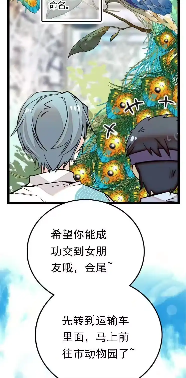 我开动物园那些年_h 051 孔雀霸王 第5页