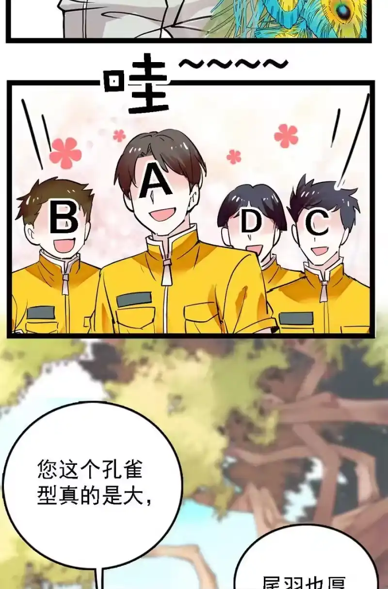 我开动物园那些年_h 051 孔雀霸王 第9页