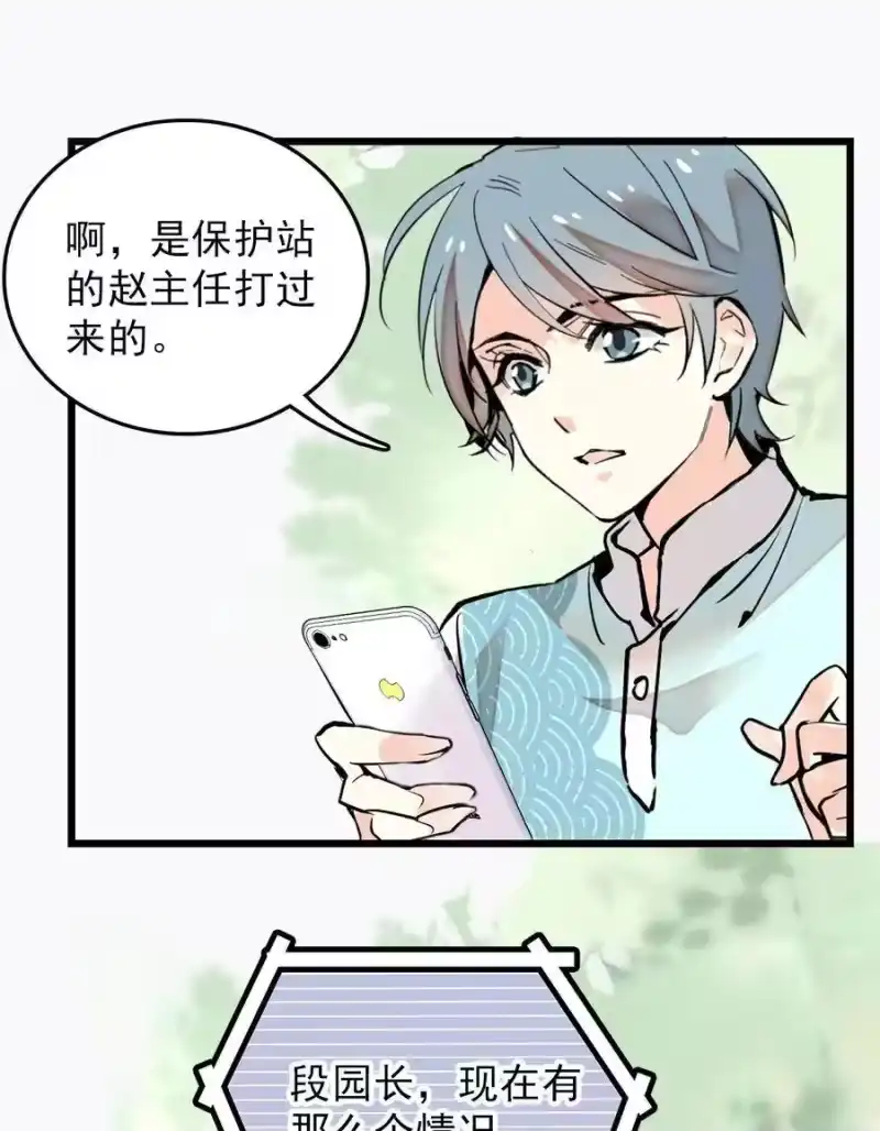 我开动物园那些年_h 052 黄金蟒 第14页