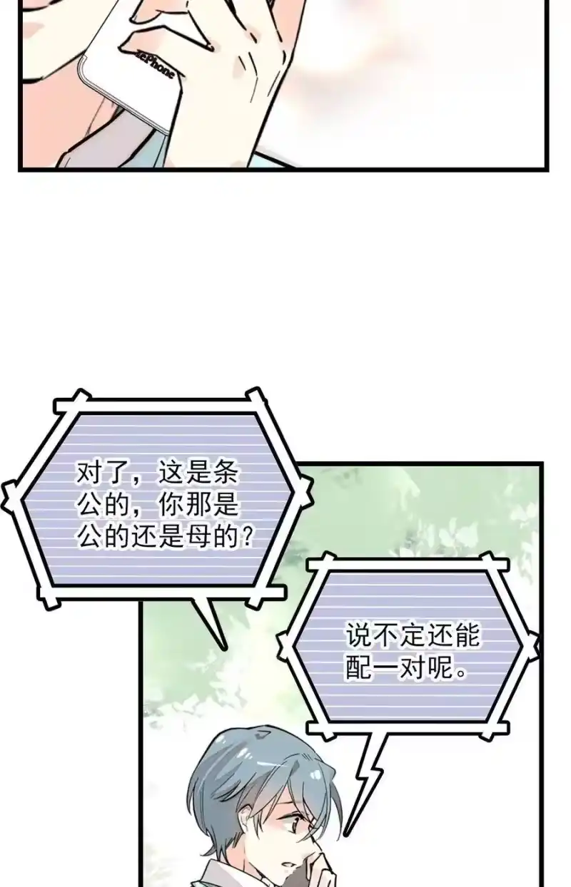 我开动物园那些年_h 052 黄金蟒 第21页