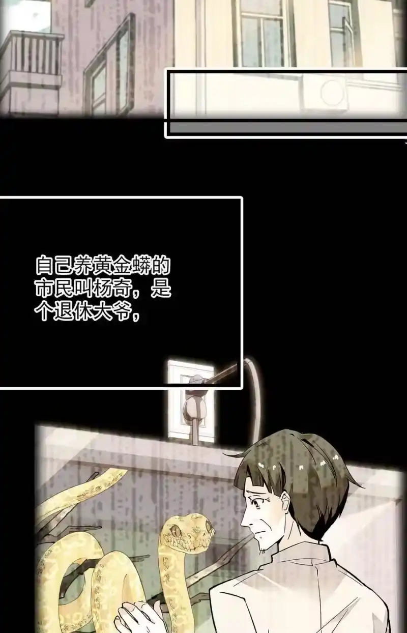 我开动物园那些年_h 052 黄金蟒 第24页
