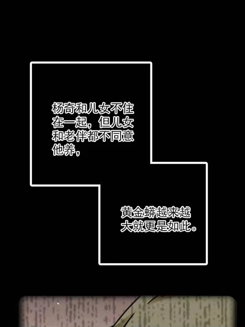 我开动物园那些年_h 052 黄金蟒 第26页