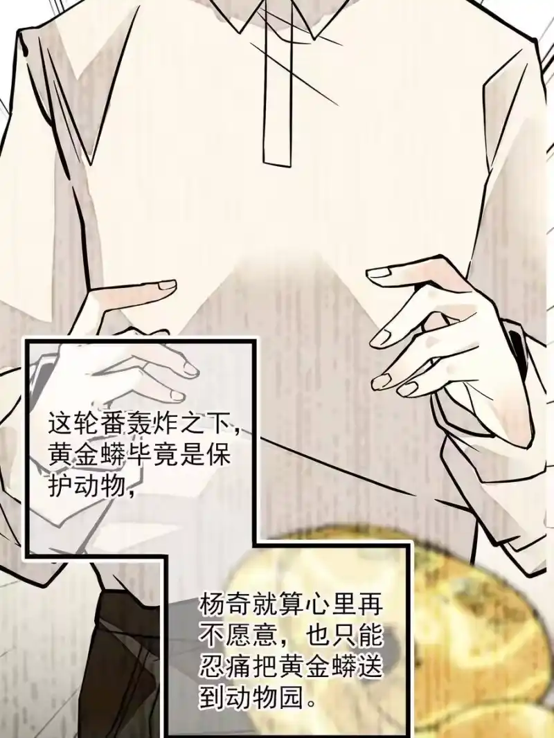 我开动物园那些年_h 052 黄金蟒 第30页