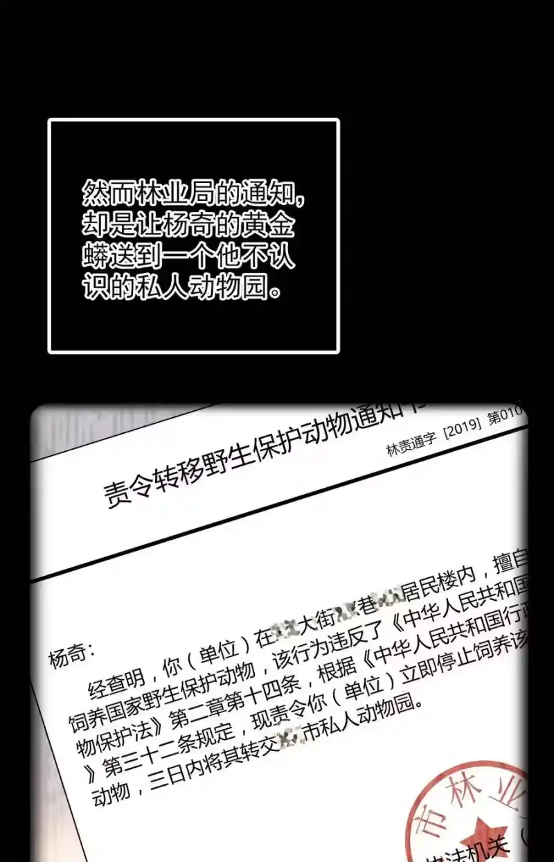 我开动物园那些年_h 052 黄金蟒 第32页