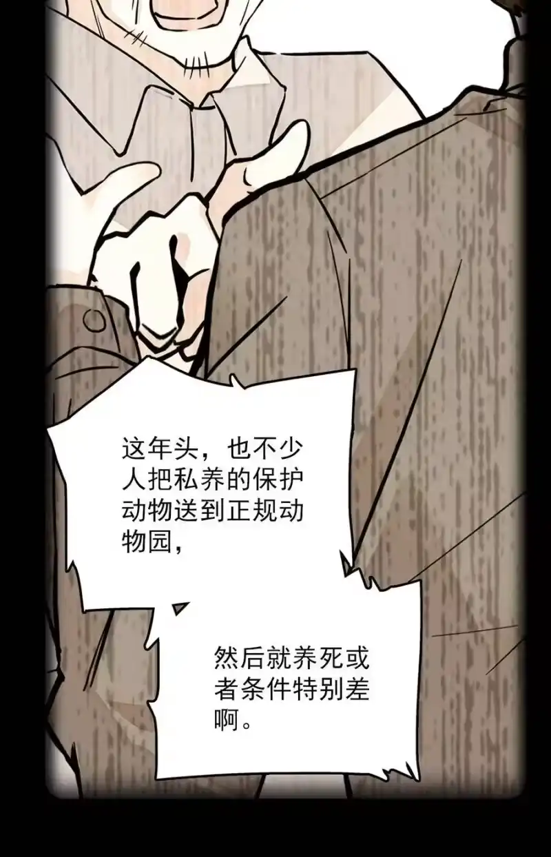 我开动物园那些年_h 052 黄金蟒 第34页