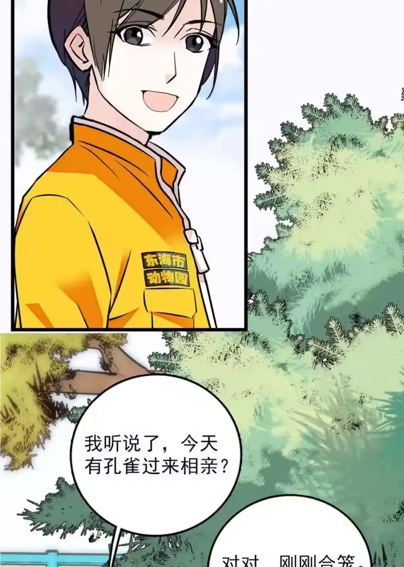 我开动物园那些年_h 052 黄金蟒 第4页