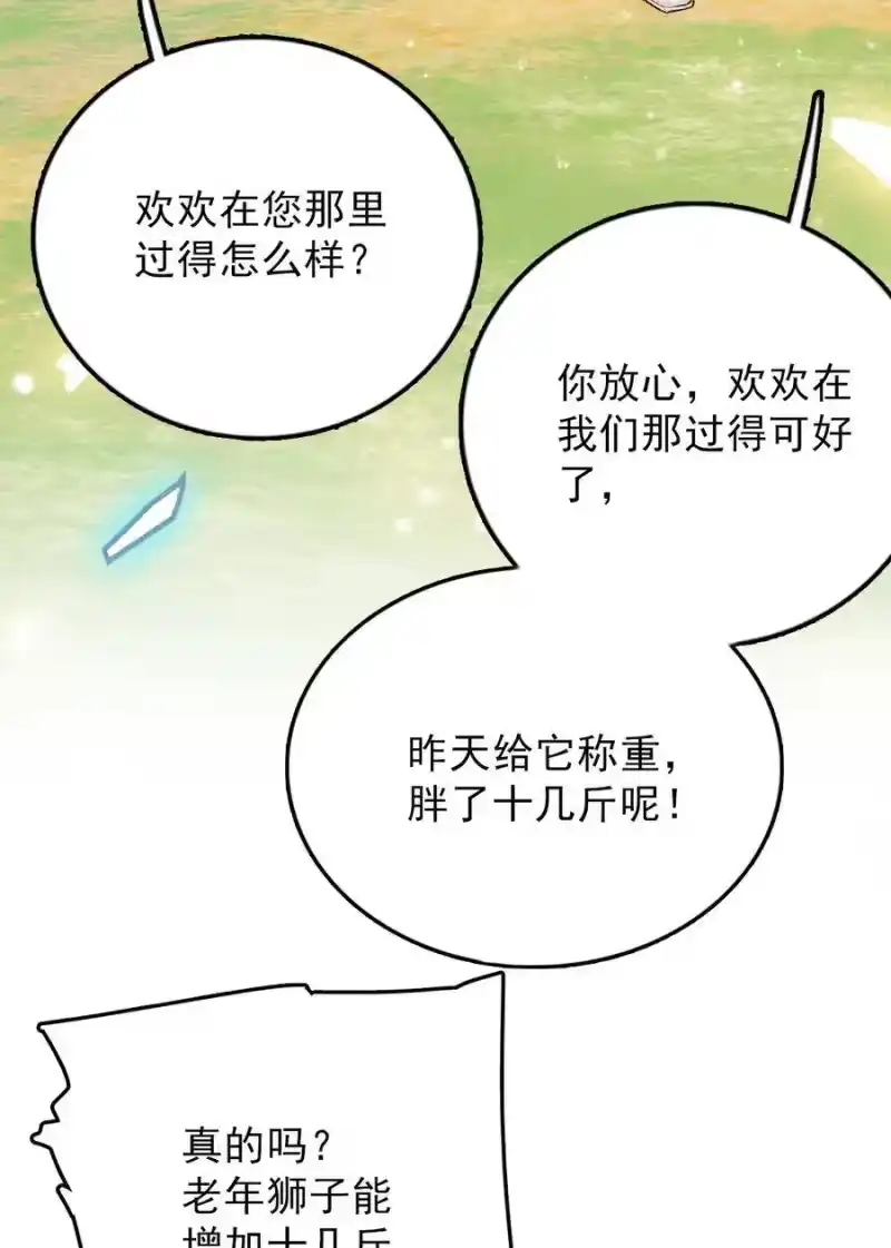 我开动物园那些年_h 052 黄金蟒 第6页