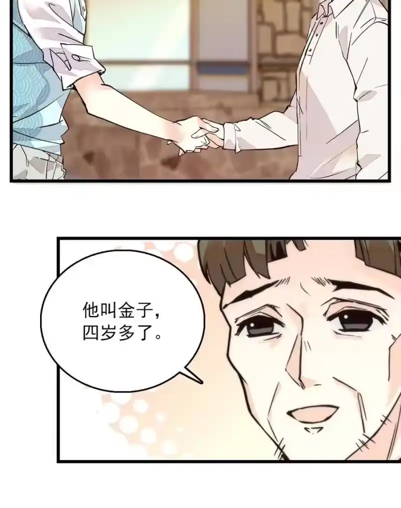我开动物园那些年_h 053 金蟒移交 第13页