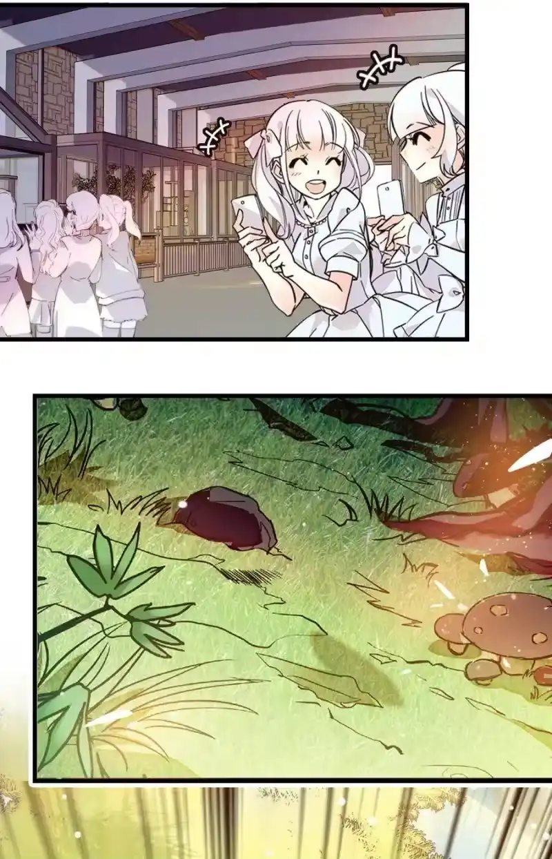我开动物园那些年_h 053 金蟒移交 第15页