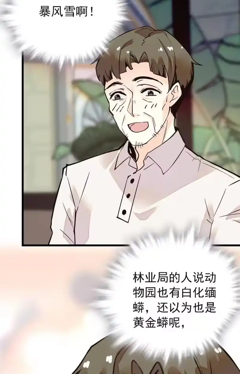 我开动物园那些年_h 053 金蟒移交 第18页
