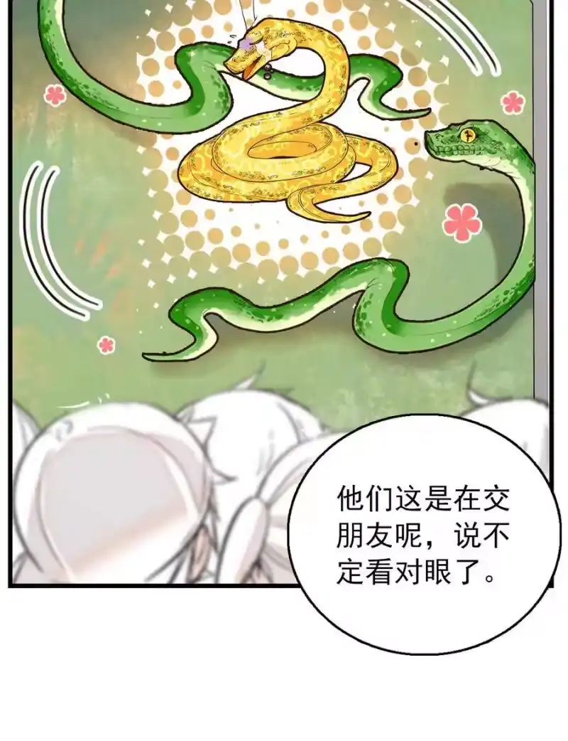 我开动物园那些年_h 053 金蟒移交 第31页