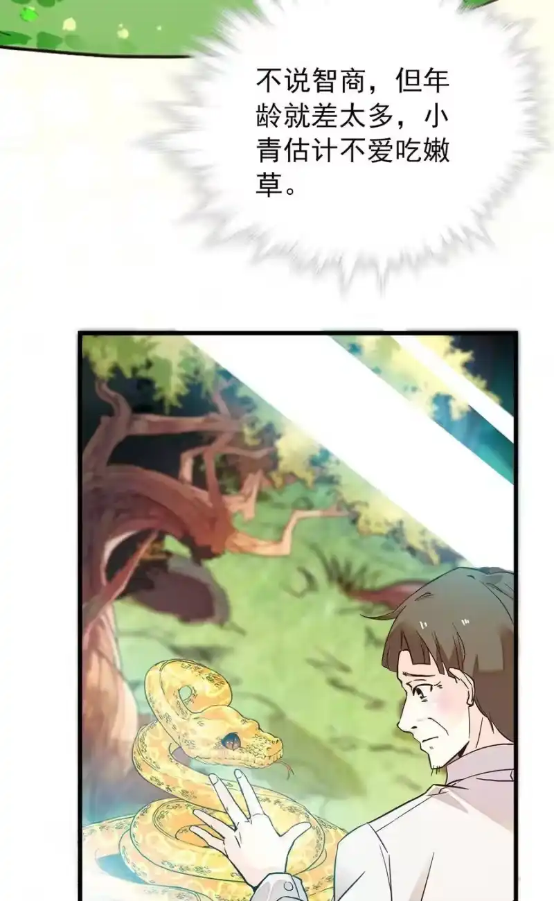 我开动物园那些年_h 053 金蟒移交 第34页