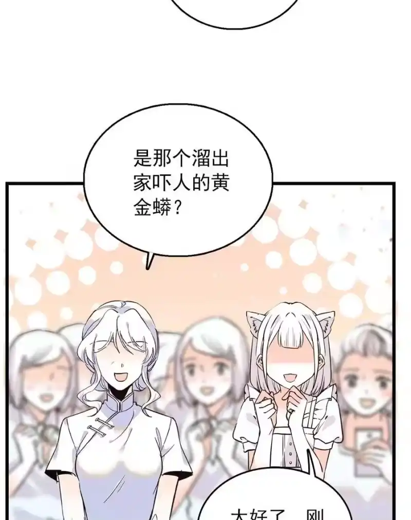 我开动物园那些年_h 053 金蟒移交 第9页