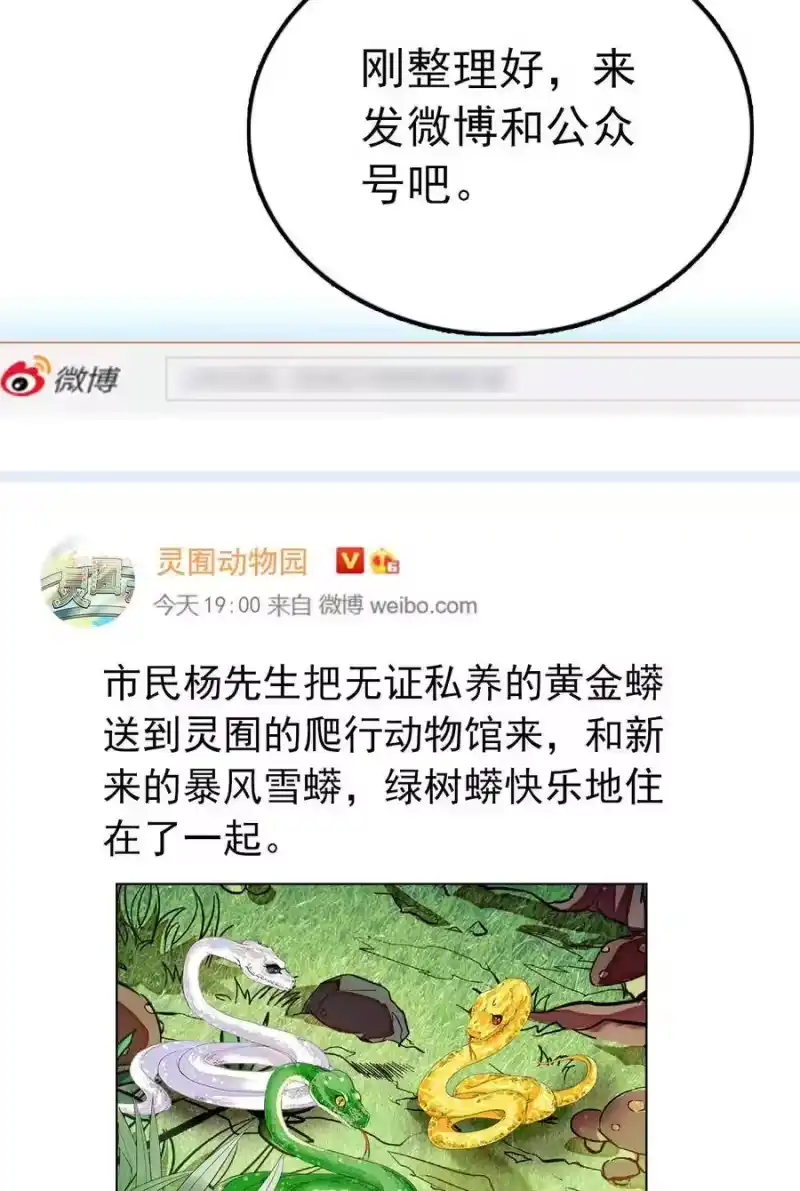 我开动物园那些年_h 054 熟悉的配色 第15页