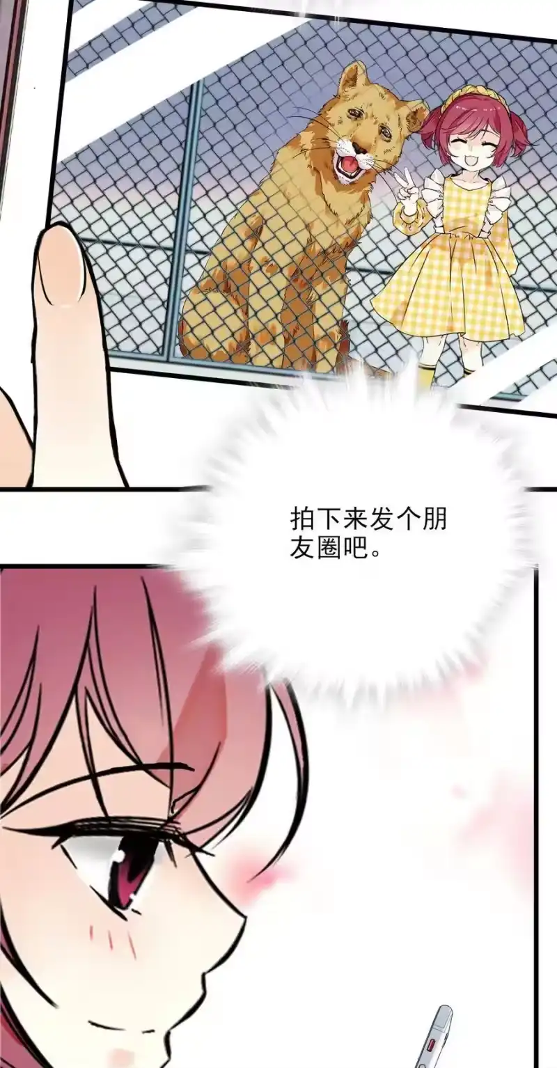 我开动物园那些年_h 059 联票效应 第32页