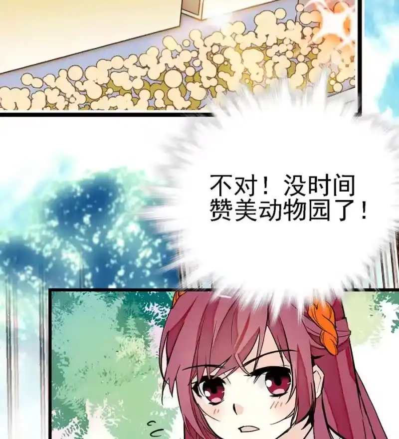 我开动物园那些年_h 060 看望欢欢 第18页