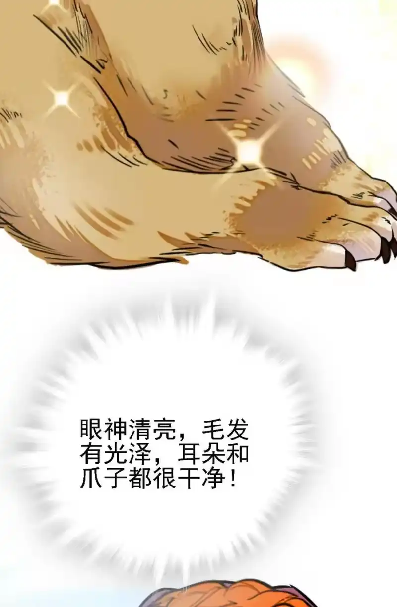我开动物园那些年_h 060 看望欢欢 第28页
