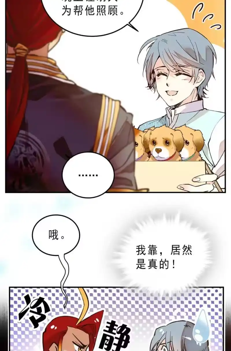 我开动物园那些年_h 062 四大天王 第10页