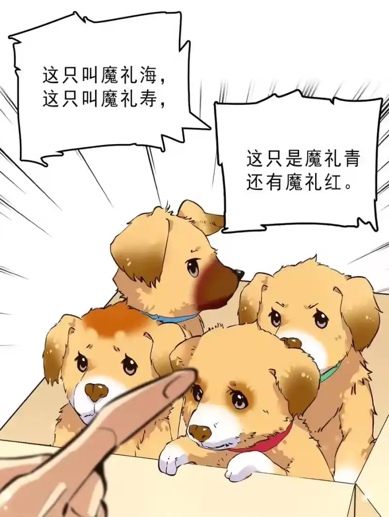 我开动物园那些年_h 062 四大天王 第18页